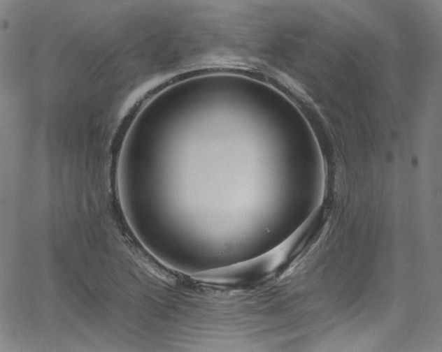 X0000065981222200603101414