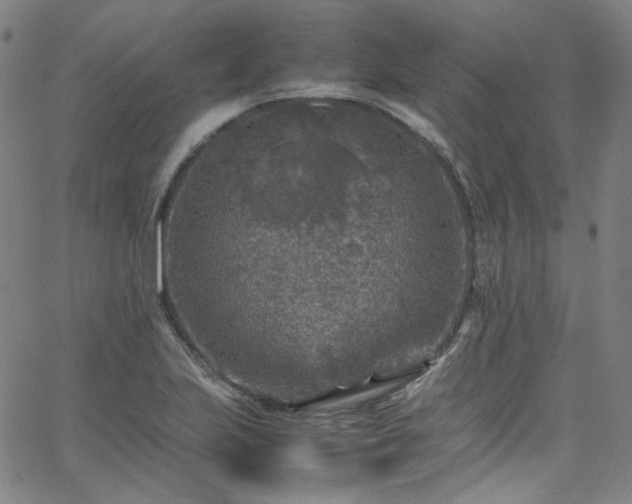 X0000065981223200603101414