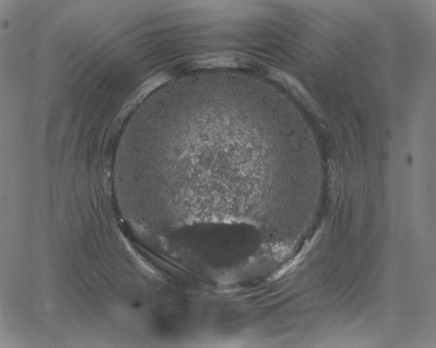 X0000065981225200603101414