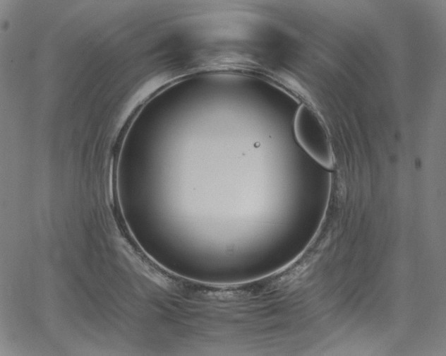 X0000065981227200603101414