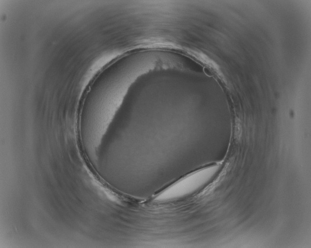 X0000065981231200603101414