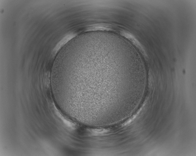 X0000065981233200603101414