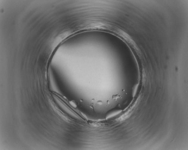 X0000065981234200603101414