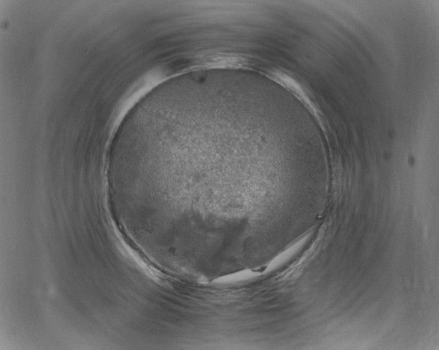 X0000065981235200603101414