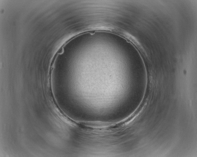 X0000065981236200603101414