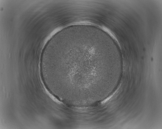 X0000065981237200603101414