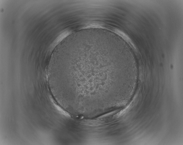 X0000065981241200603101414