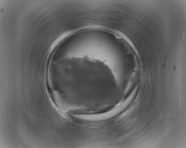 X0000065981245200603101414