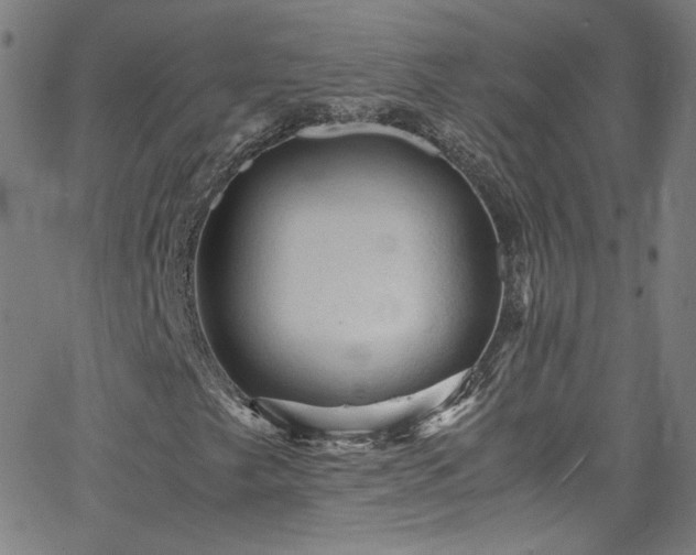 X0000065981249200603101413