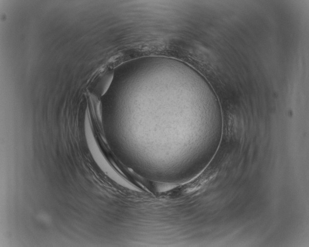 X0000065981250200603101413