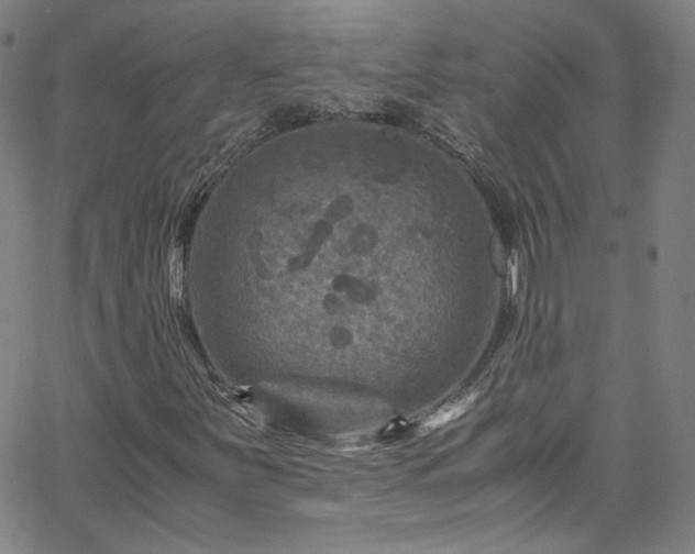 X0000065981251200603101413