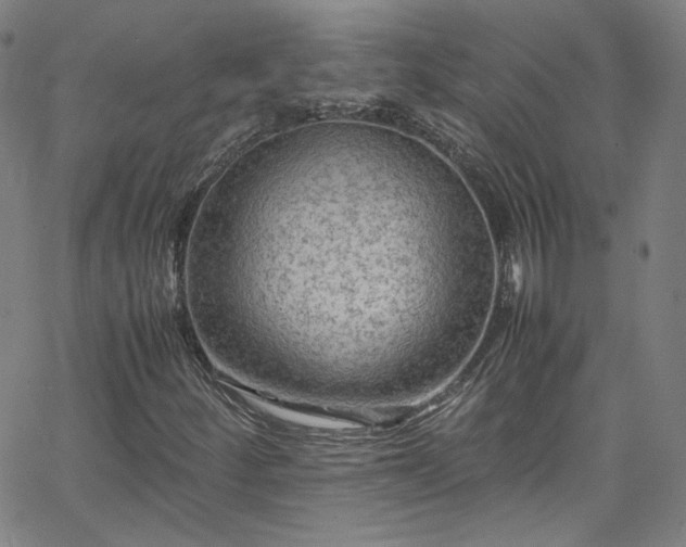 X0000065981252200603101413