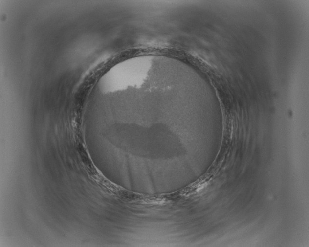 X0000065981254200603101413