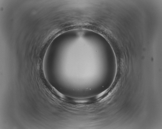 X0000065981257200603101413