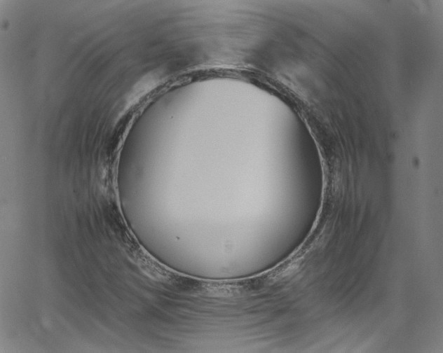 X0000065981258200603101413