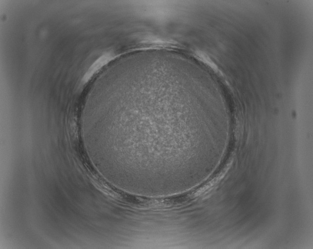 X0000065981259200603101413