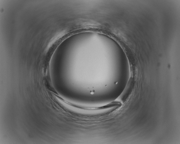 X0000065981261200603101413