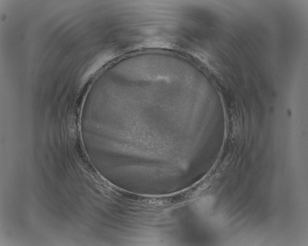 X0000065981266200603101413