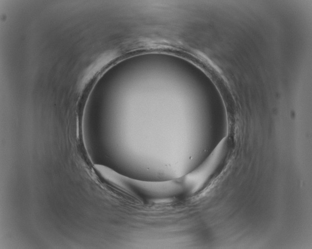 X0000065981269200603101413