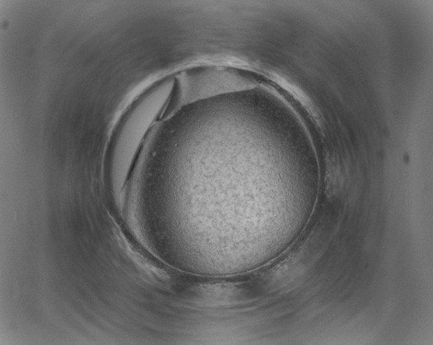 X0000065981272200603101413