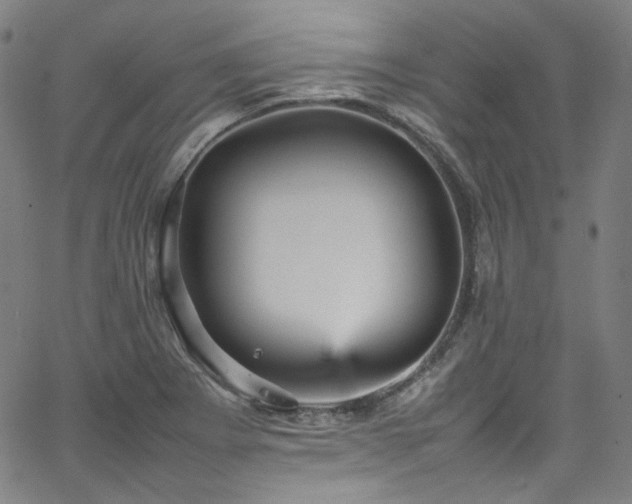 X0000065981273200603101413