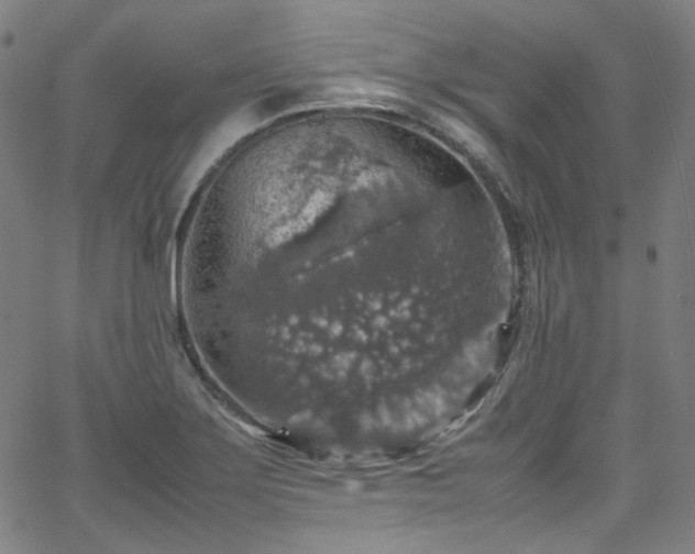 X0000065981275200603101413