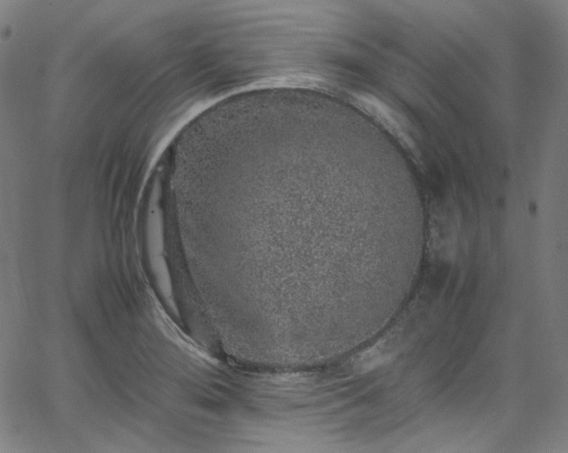 X0000065981276200603101413