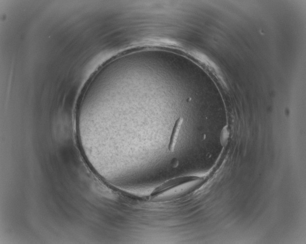 X0000065981280200603101413