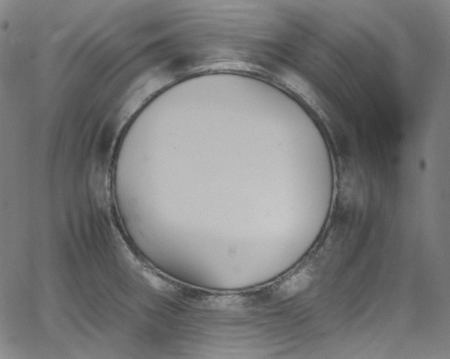 X0000065981282200603101413