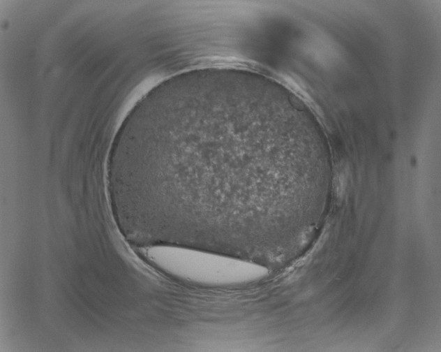 X0000065981283200603101413