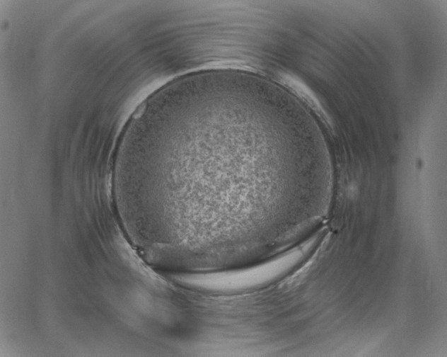 X0000065981284200603101413