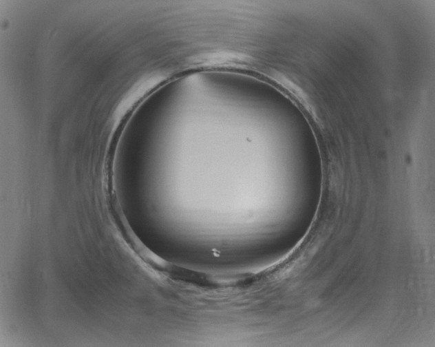 X0000065981285200603101413