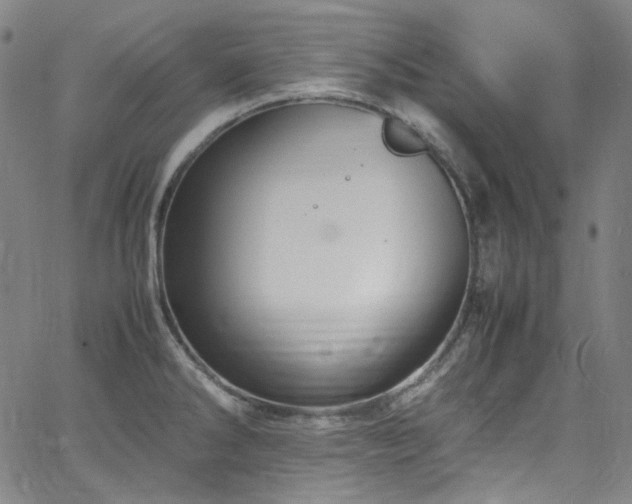 X0000065981286200603101413