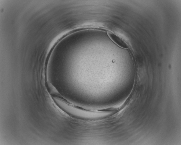 X0000065981288200603101413