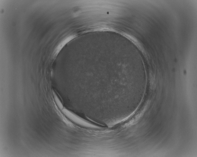 X0000065981289200603101413