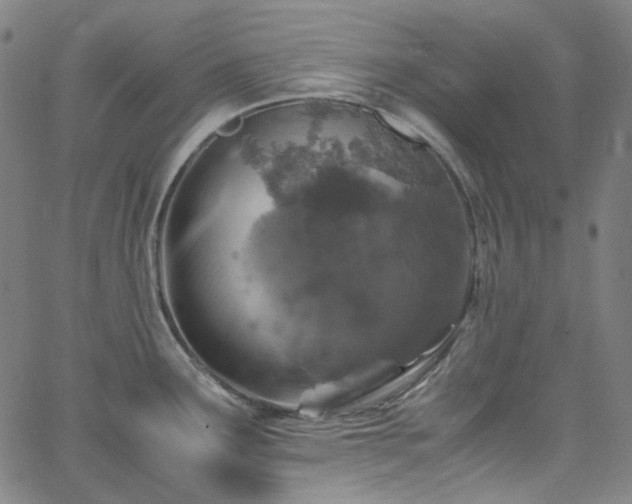 X0000065981291200603101413