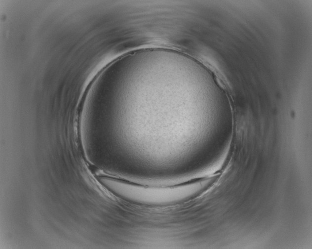 X0000065981292200603101413