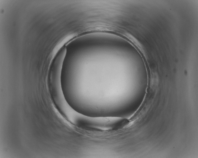 X0000065981293200603101413