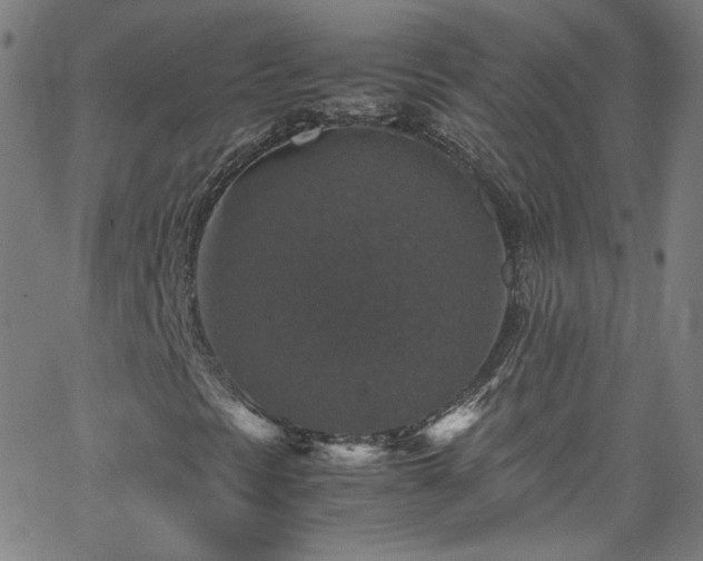 X0000065981297200603101412