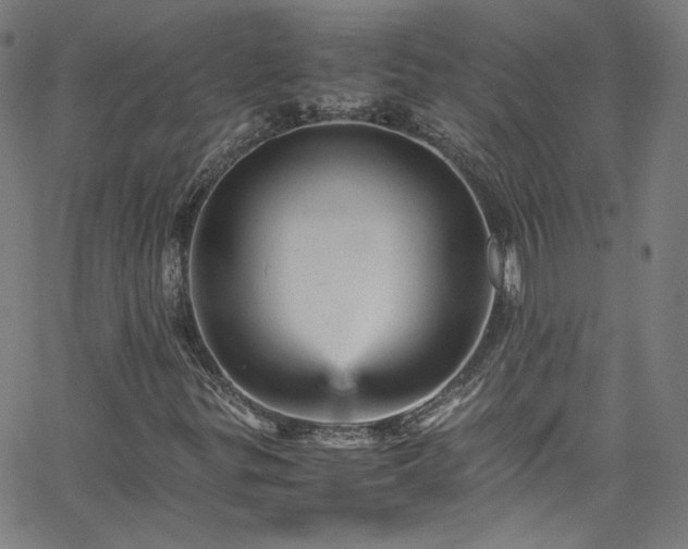 X0000065981299200603101412