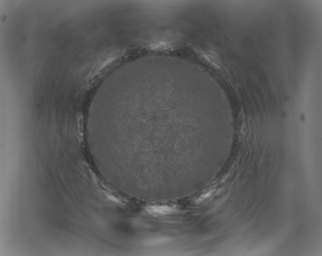 X0000065981301200603101412