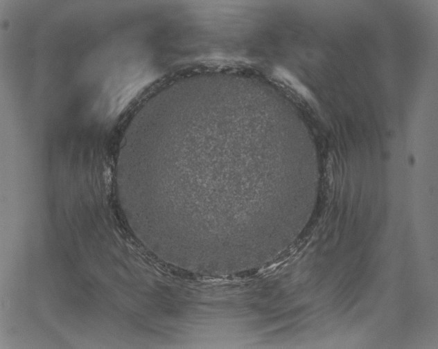 X0000065981302200603101412