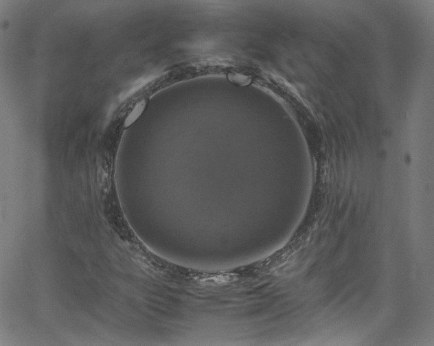 X0000065981303200603101412