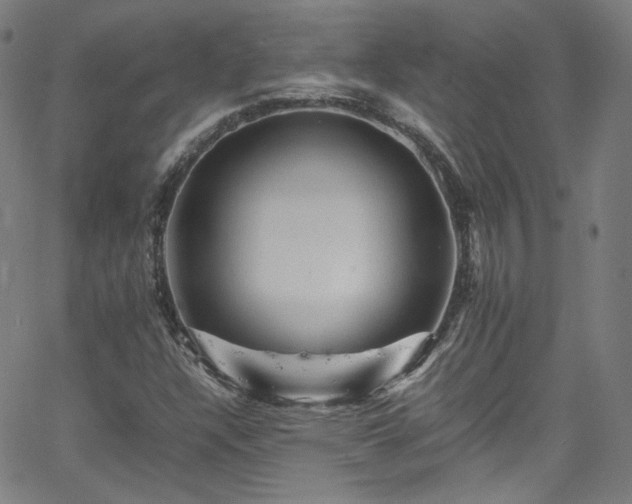 X0000065981304200603101412