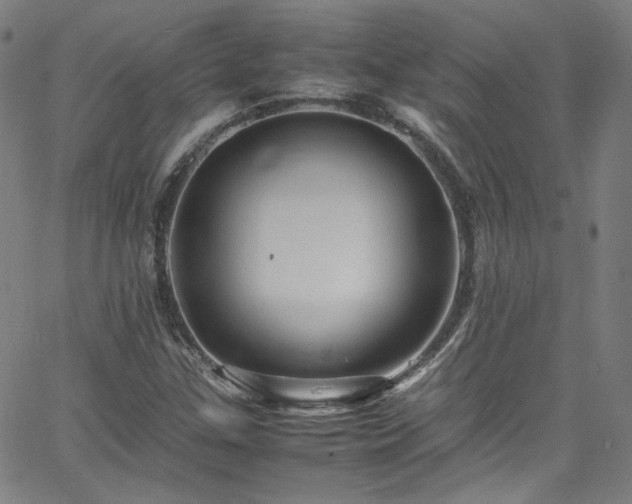 X0000065981307200603101412