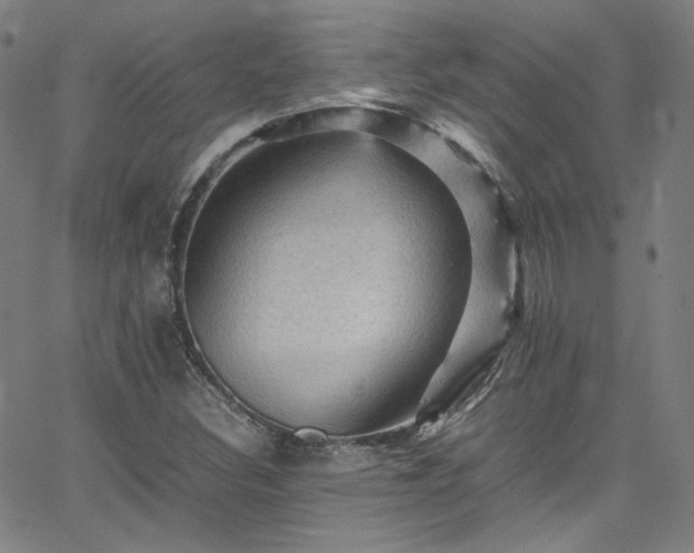 X0000065981308200603101412