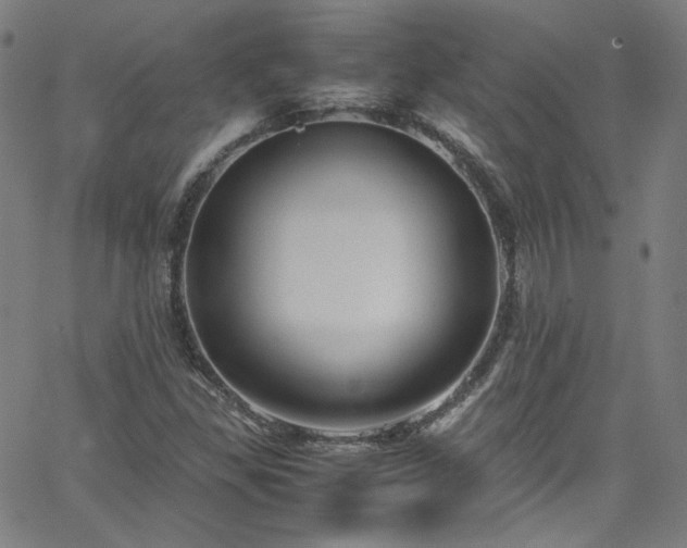 X0000065981309200603101412