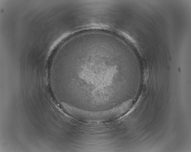 X0000065981310200603101412