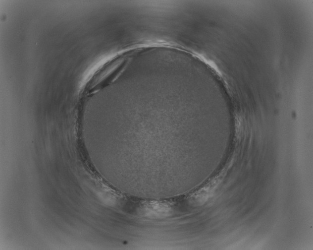 X0000065981311200603101412