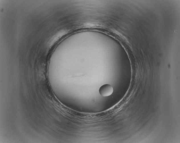 X0000065981314200603101412